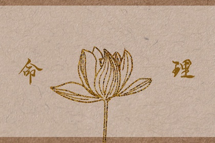 老皇历万年历,老皇历黄道吉日,汉典老皇历